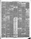 Annandale Observer and Advertiser Friday 18 January 1895 Page 3