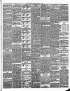 Annandale Observer and Advertiser Friday 01 February 1895 Page 3