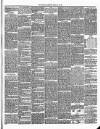 Annandale Observer and Advertiser Friday 22 February 1895 Page 3