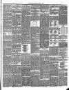 Annandale Observer and Advertiser Friday 01 March 1895 Page 3