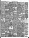 Annandale Observer and Advertiser Friday 22 March 1895 Page 3