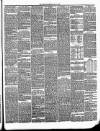 Annandale Observer and Advertiser Friday 17 May 1895 Page 3