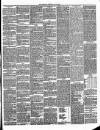 Annandale Observer and Advertiser Friday 24 May 1895 Page 3