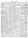 The Reporter (Stirling) Saturday 22 January 1881 Page 3