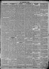 Kensington News and West London Times Saturday 20 February 1869 Page 3