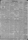 Kensington News and West London Times Saturday 27 March 1869 Page 3