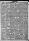 Kensington News and West London Times Saturday 12 June 1869 Page 3