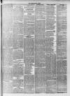 Kensington News and West London Times Saturday 24 February 1877 Page 3