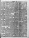 Kensington News and West London Times Saturday 31 March 1877 Page 3