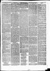 Newbury Weekly News and General Advertiser Wednesday 24 December 1873 Page 7
