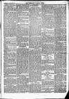 Newbury Weekly News and General Advertiser Thursday 29 January 1874 Page 3
