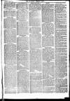 Newbury Weekly News and General Advertiser Thursday 09 April 1874 Page 7