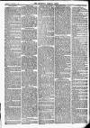 Newbury Weekly News and General Advertiser Thursday 10 December 1874 Page 3