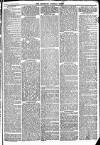 Newbury Weekly News and General Advertiser Thursday 14 January 1875 Page 3