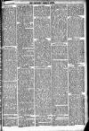 Newbury Weekly News and General Advertiser Thursday 28 January 1875 Page 3