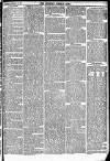 Newbury Weekly News and General Advertiser Thursday 11 February 1875 Page 3