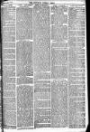 Newbury Weekly News and General Advertiser Thursday 18 March 1875 Page 3