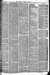 Newbury Weekly News and General Advertiser Thursday 13 May 1875 Page 3