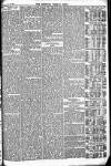 Newbury Weekly News and General Advertiser Thursday 20 May 1875 Page 7