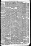 Newbury Weekly News and General Advertiser Thursday 10 June 1875 Page 3