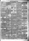 Newbury Weekly News and General Advertiser Thursday 01 July 1875 Page 5