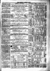 Newbury Weekly News and General Advertiser Thursday 08 July 1875 Page 7