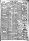 Newbury Weekly News and General Advertiser Thursday 15 July 1875 Page 3