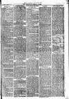 Newbury Weekly News and General Advertiser Thursday 19 August 1875 Page 3
