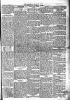 Newbury Weekly News and General Advertiser Thursday 04 November 1875 Page 5