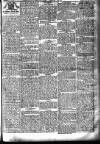 Newbury Weekly News and General Advertiser Thursday 18 November 1875 Page 5