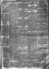 Newbury Weekly News and General Advertiser Thursday 25 November 1875 Page 5
