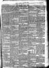 Newbury Weekly News and General Advertiser Thursday 13 April 1876 Page 5