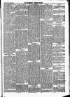 Newbury Weekly News and General Advertiser Thursday 10 August 1876 Page 5