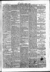 Newbury Weekly News and General Advertiser Thursday 22 February 1877 Page 3