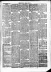 Newbury Weekly News and General Advertiser Thursday 22 February 1877 Page 5