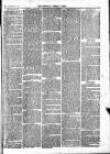 Newbury Weekly News and General Advertiser Thursday 01 March 1877 Page 3