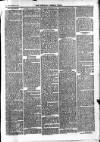 Newbury Weekly News and General Advertiser Thursday 15 March 1877 Page 3