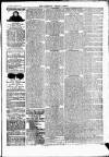 Newbury Weekly News and General Advertiser Thursday 25 April 1878 Page 3