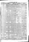 Newbury Weekly News and General Advertiser Thursday 30 May 1878 Page 5