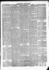 Newbury Weekly News and General Advertiser Thursday 13 June 1878 Page 5