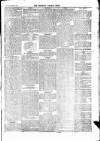 Newbury Weekly News and General Advertiser Thursday 20 June 1878 Page 5