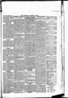 Newbury Weekly News and General Advertiser Thursday 23 January 1879 Page 5