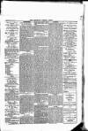 Newbury Weekly News and General Advertiser Thursday 03 April 1879 Page 3