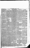 Newbury Weekly News and General Advertiser Thursday 17 April 1879 Page 5