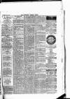 Newbury Weekly News and General Advertiser Thursday 15 May 1879 Page 3
