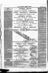 Newbury Weekly News and General Advertiser Thursday 29 May 1879 Page 8