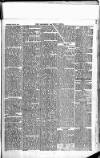Newbury Weekly News and General Advertiser Thursday 26 June 1879 Page 5