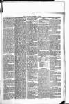 Newbury Weekly News and General Advertiser Thursday 24 July 1879 Page 5