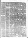 Newbury Weekly News and General Advertiser Thursday 11 March 1880 Page 3