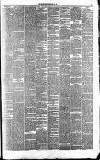 Runcorn Guardian Saturday 27 May 1876 Page 3